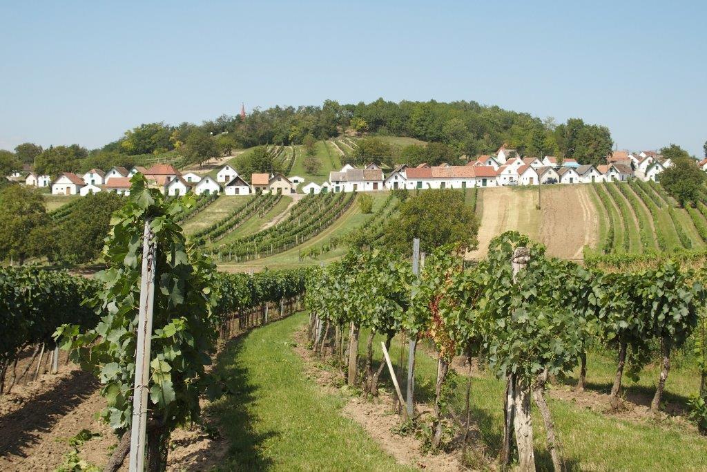 Gaestehaus Weinviertel - Niederoesterreich Siebenhirten Exteriör bild